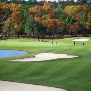 Skyview Foilage Golfers - Citrus Hills 