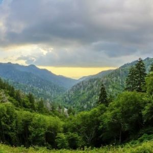 Great Smoky Mountains