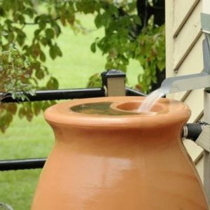 Rain Barrel