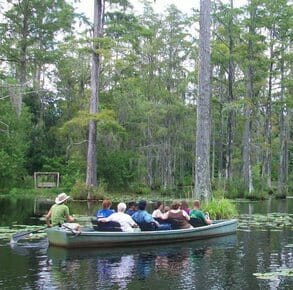 6 Reasons Nature Lovers are Nuts About Charleston, SC! - Cypress Swamp Canoeing