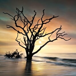 6 Reasons Nature Lovers are Nuts About Charleston, SC! - Sunrise at Botany Bay