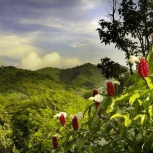 Best Places to Retire in Costa Rica