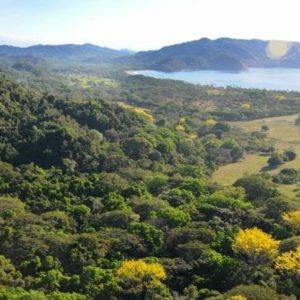 Costa Rica, Tambor Mountians 