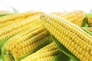 Corn