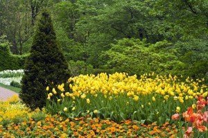 Climate change in the garden - Longwood Gardens PA - Best Places to Retire