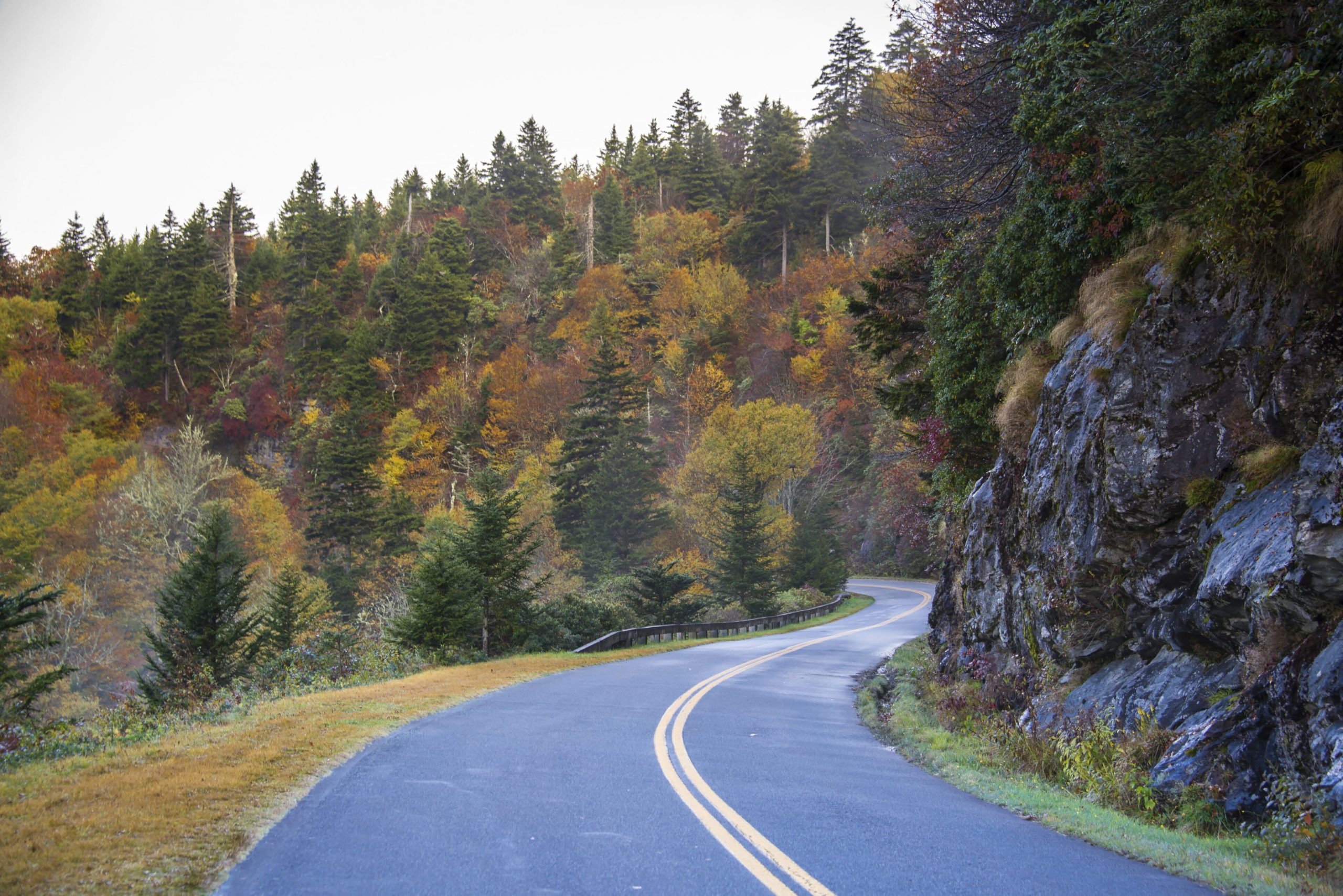 Blue Ridge Parkway Roadway