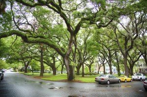 Best Places to Retire in Georgia - WaterWays Township - Savannah GA