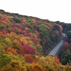 Part of the Cherohala Skyway, TN, (Cherokee Nantahala) in the fall