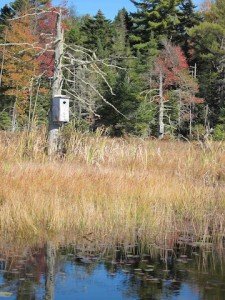 Nesting Boxes - Grantham NH - McDaniel's Marsh - Best Places to Retire in New Hampshire - Eastman Community Association