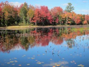 Red Maples - Best Places to Retire in New Hampshire - Eastman Community Association - McDaniel's Marsh