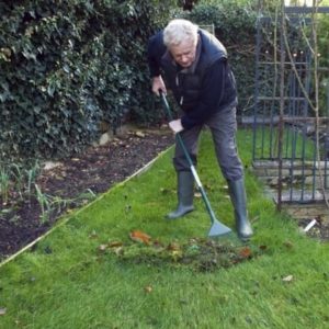 Gardening Tips - Raking leaves - Winterize your garden 