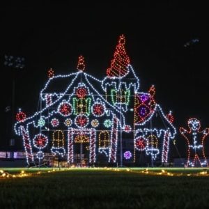 Christmas Festivals - Festival of Lights