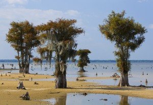 Lake Moultrie