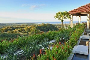 Villa tropical garden and coconut tree overlooking Tamarindo and Pacific Ocean in Guanacaste, Costa Rica