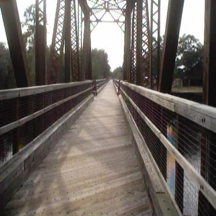 Withlacoochee State Forest Trail Bridge