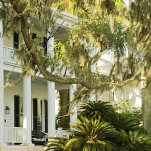 Venture Out to the Lowcountry