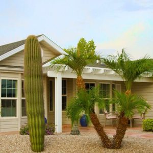 Las Palmas Grand | Arizona Active 55 Resort Community | AZ Real Estate