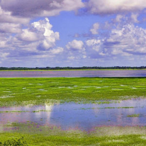 Homes For Sale Beaufort SC | Coosaw Point | Lowcountry Living