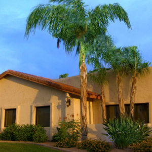 Palmas Del Sol Active 55+ Community in Mesa AZ