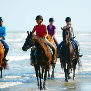 South Carolina Sustainable Community | Seabrook Island Coastal