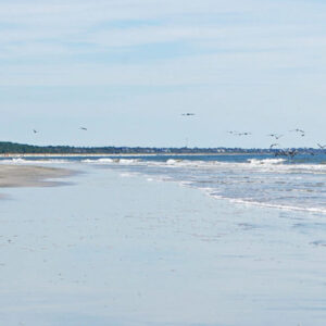 South Carolina Sustainable Community | Seabrook Island Coastal