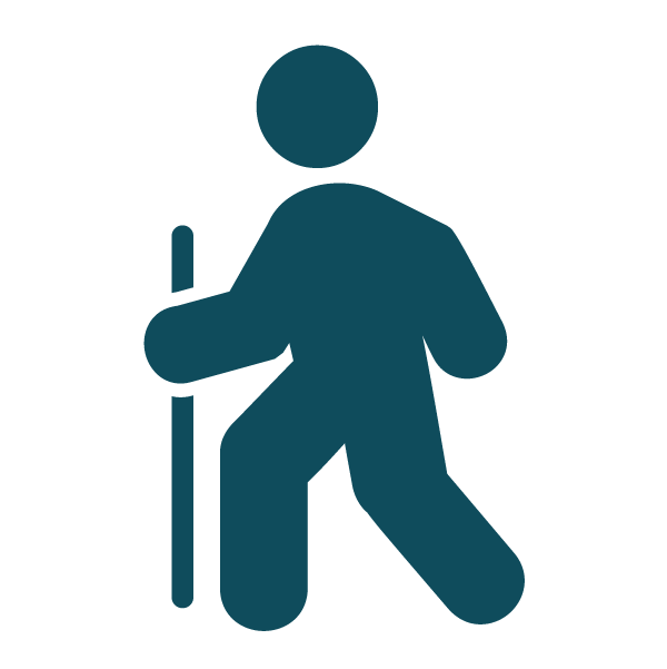 Hiking Icon-large