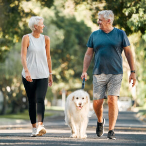 Retirement, fitness and walking with dog and couple in neighborhood park for relax, health and sports workout. Love, wellness and pet with old man and senior woman in outdoor morning walk together