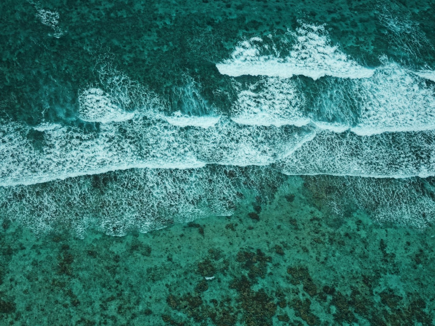 Homes for Sales in Belize | Marriott Residences | Investment