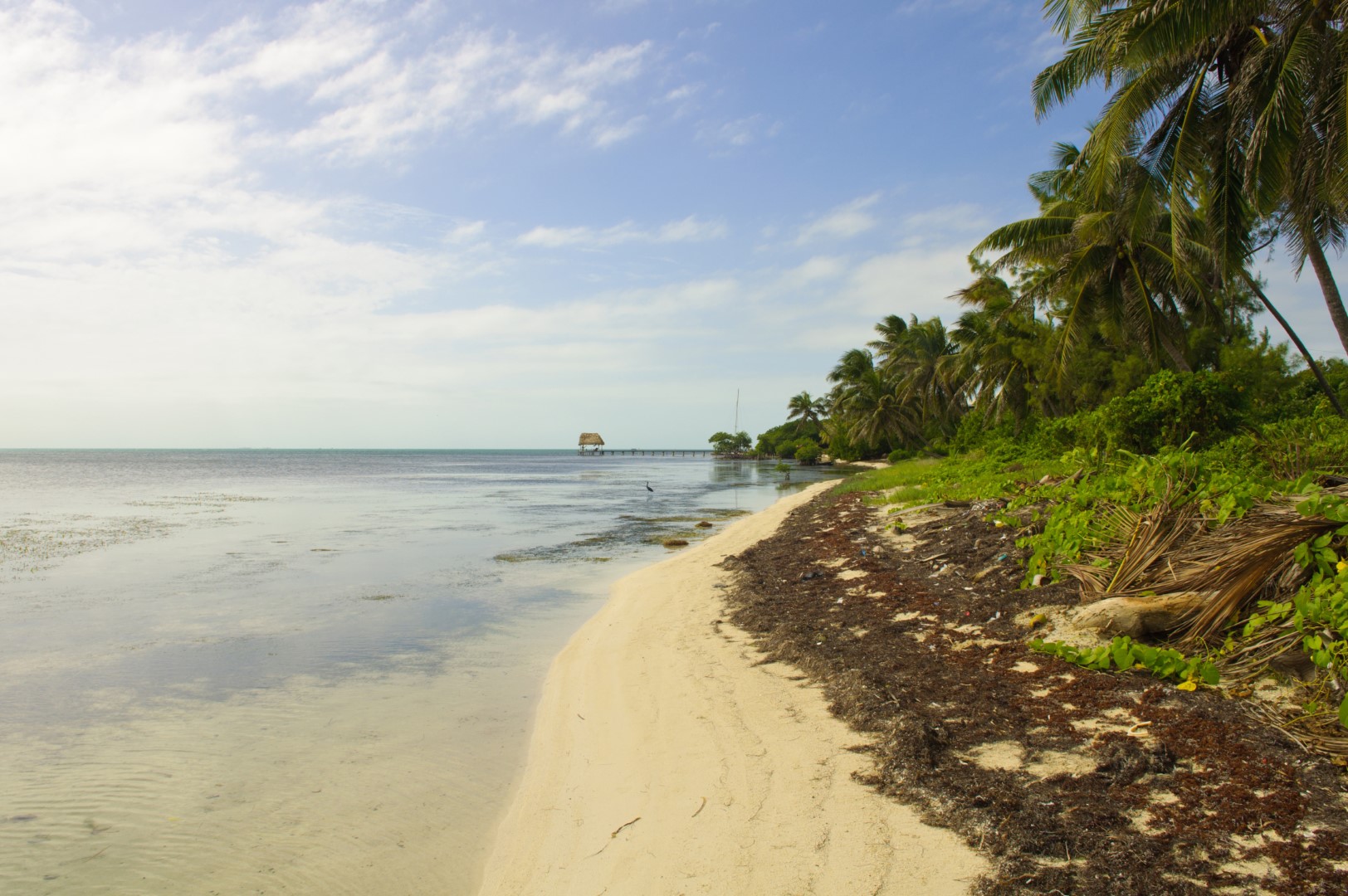 Homes for Sales in Belize | Marriott Residences | Investment