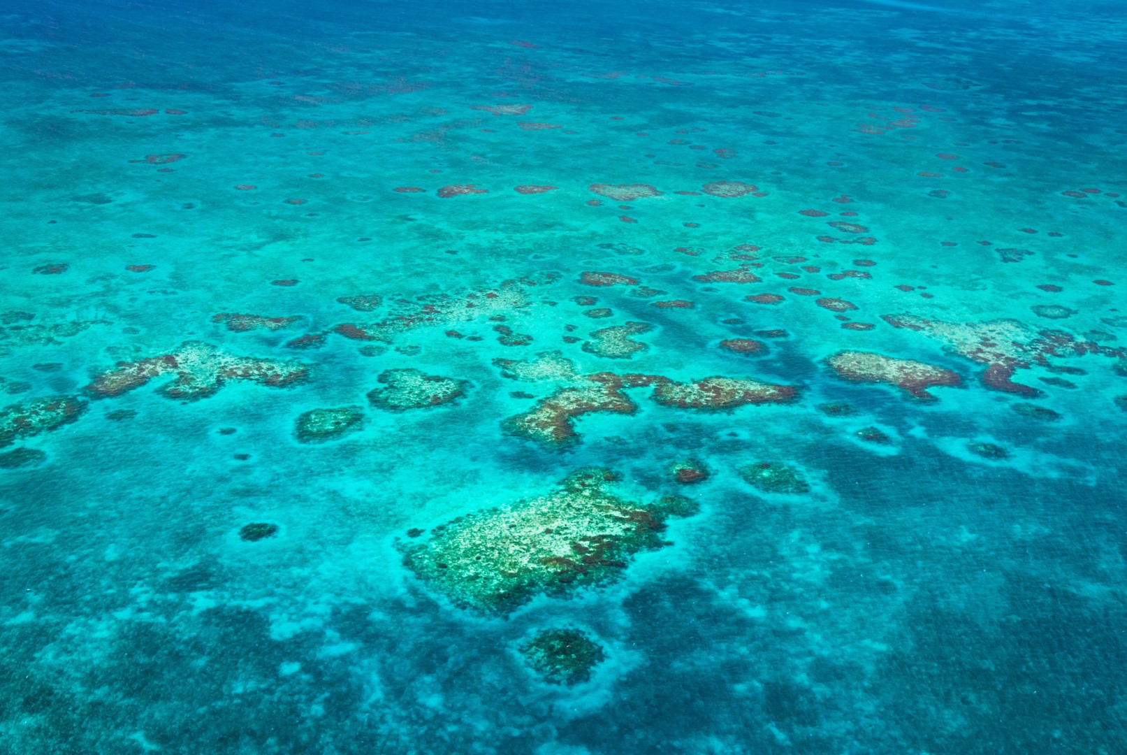 Homes for Sales in Belize | Marriott Residences | Investment