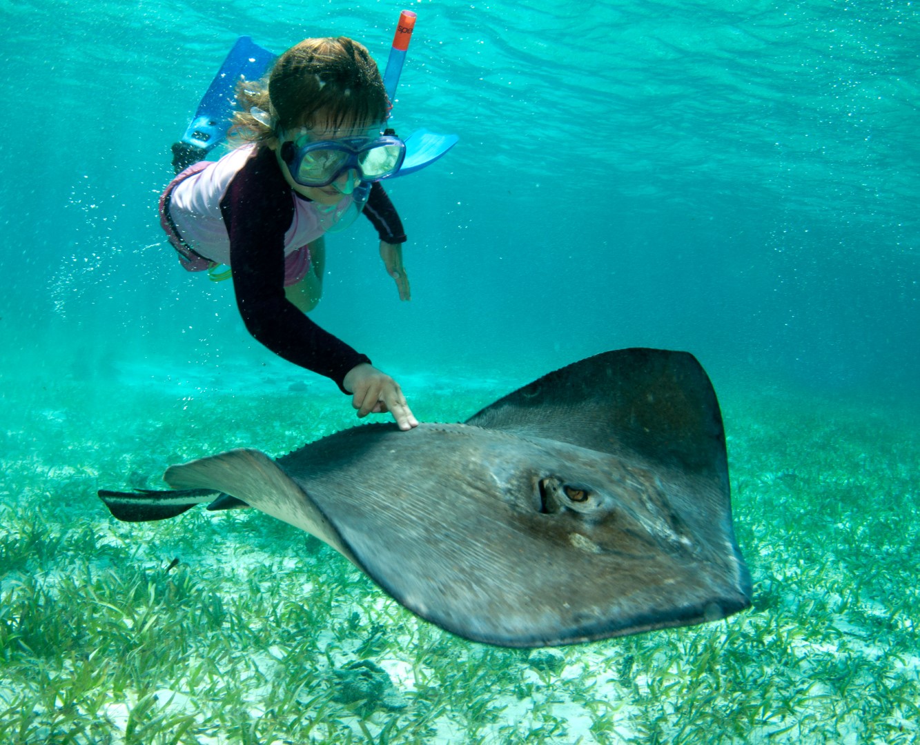 Homes for Sales in Belize | Marriott Residences | Investment