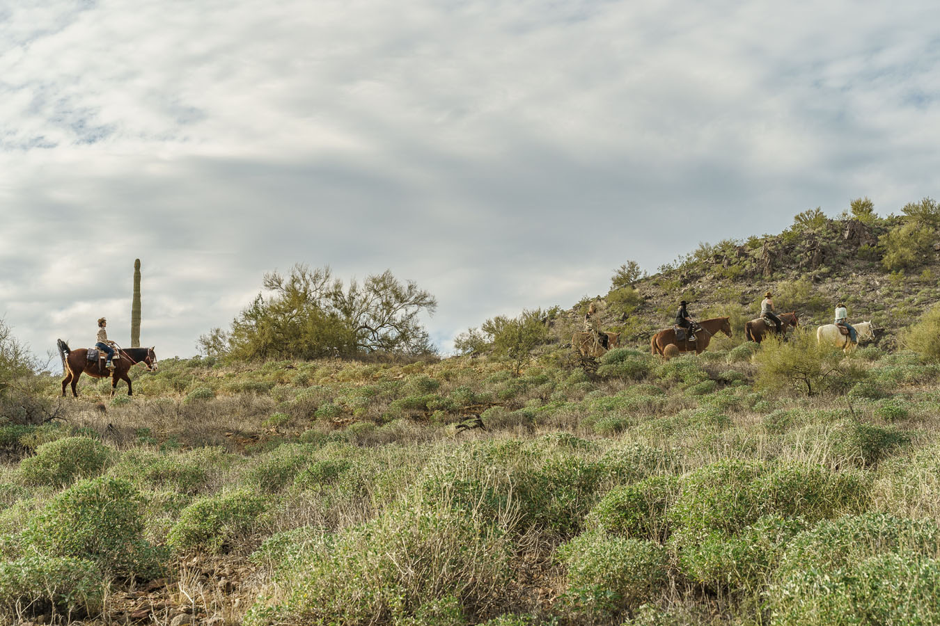 Homes near Phoenix AZ | The Foothills at Arroyo Norte