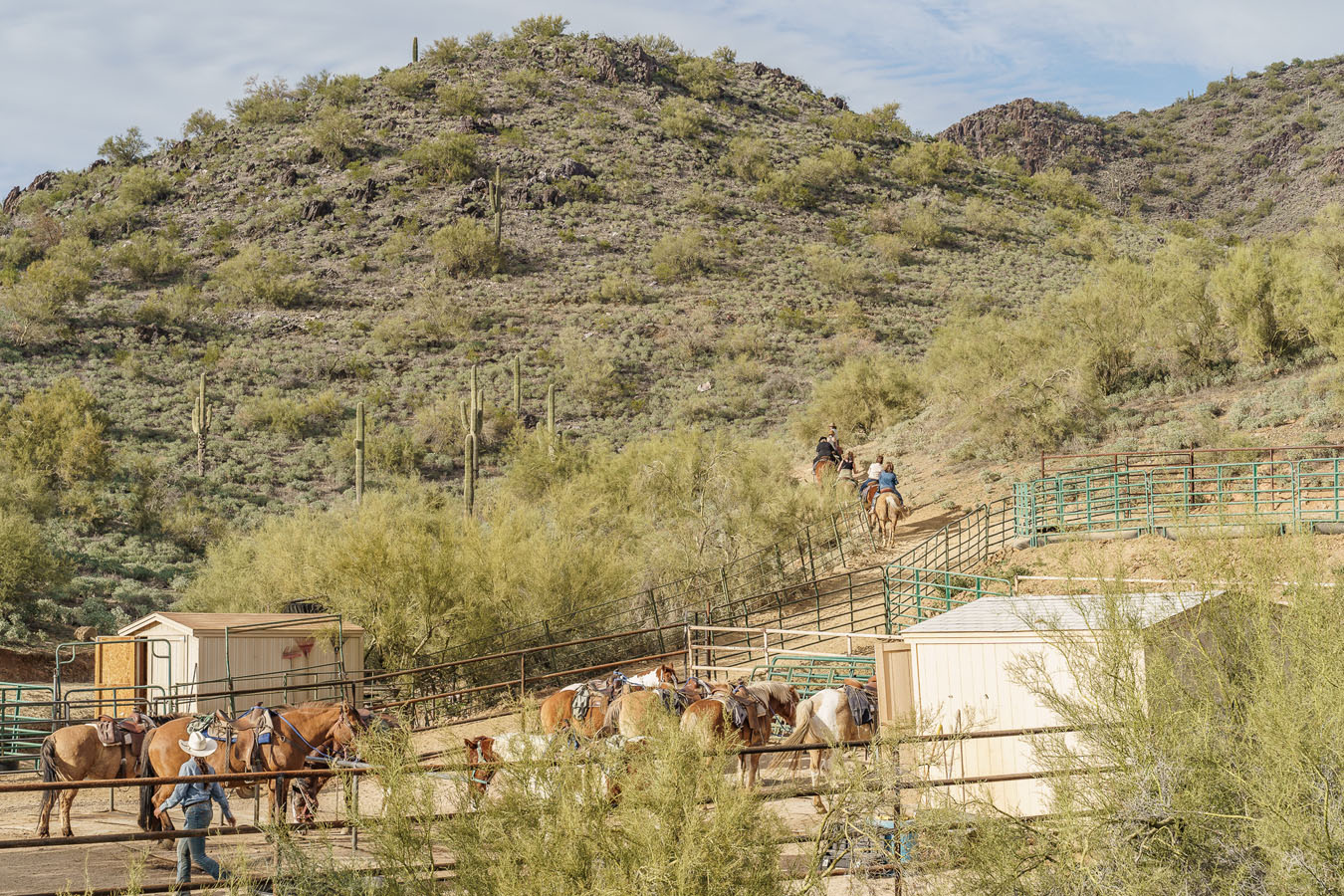 Homes near Phoenix AZ | The Foothills at Arroyo Norte